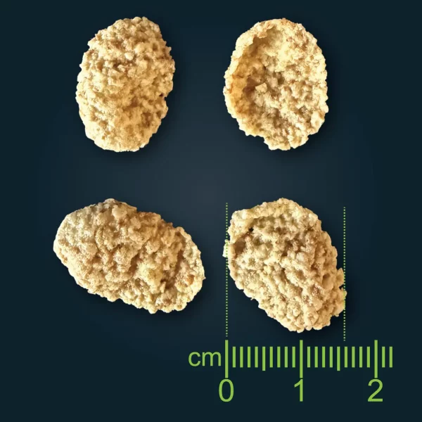 Extrudierte Frühstücksflocken von Natural Food